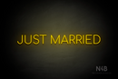 "JUST MARRIED" (Cooper font) - LED neon sign