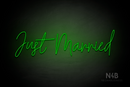 "Just Married" (Custom font) - LED neon sign