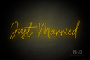 "Just Married" (Custom font) - LED neon sign