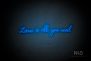 "Love is all you need" (Custom font) - LED neon sign