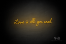 "Love is all you need" (Custom font) - LED neon sign