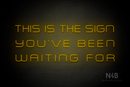 "THIS IS THE SIGN YOU'VE BEEN WAITING FOR" (Souvenir font) - LED neon sign