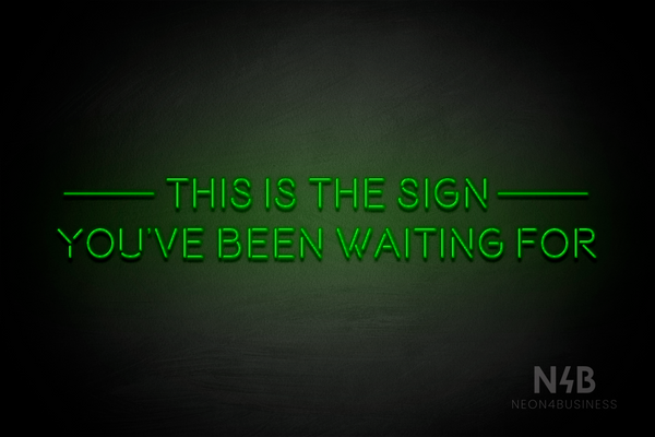 "THIS IS THE SIGN YOU'VE BEEN WAITING FOR" (Brilliant font) - LED neon sign