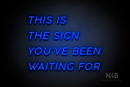 "THIS IS THE SIGN YOU'VE BEEN WAITING FOR" (Canela font) - LED neon sign