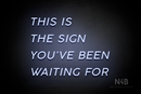 "THIS IS THE SIGN YOU'VE BEEN WAITING FOR" (Canela font) - LED neon sign