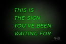 "THIS IS THE SIGN YOU'VE BEEN WAITING FOR" (Canela font) - LED neon sign