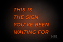 "THIS IS THE SIGN YOU'VE BEEN WAITING FOR" (Canela font) - LED neon sign