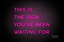 "THIS IS THE SIGN YOU'VE BEEN WAITING FOR" (Canela font) - LED neon sign