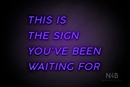 "THIS IS THE SIGN YOU'VE BEEN WAITING FOR" (Canela font) - LED neon sign