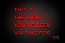 "THIS IS THE SIGN YOU'VE BEEN WAITING FOR" (Canela font) - LED neon sign