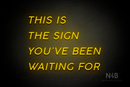 "THIS IS THE SIGN YOU'VE BEEN WAITING FOR" (Canela font) - LED neon sign