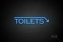 "TOILETS" (capitals, right down arrow, One Day font) - LED neon sign
