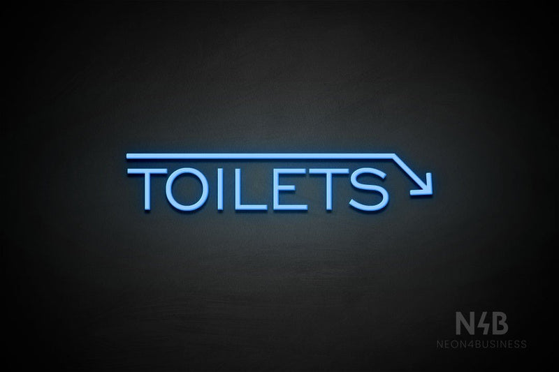 "TOILETS" (capitals, right down arrow, One Day font) - LED neon sign