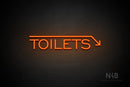 "TOILETS" (capitals, right down arrow, One Day font) - LED neon sign