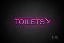 "TOILETS" (capitals, right down arrow, One Day font) - LED neon sign