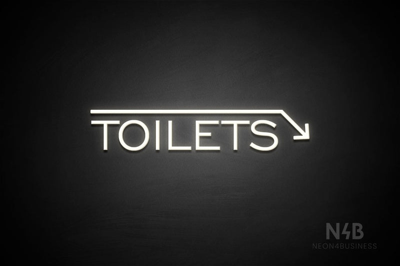 "TOILETS" (capitals, right down arrow, One Day font) - LED neon sign