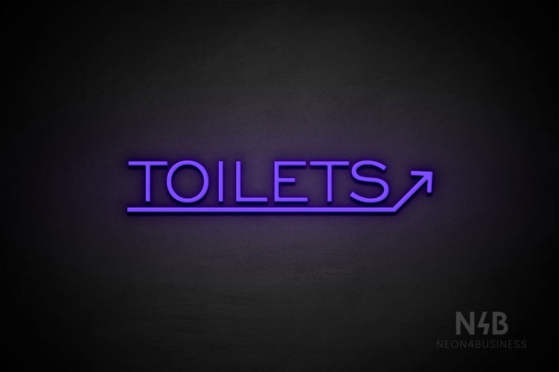 "TOILETS" (capitals, right up arrow, One Day font) - LED neon sign