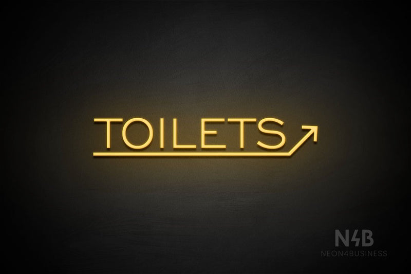 "TOILETS" (capitals, right up arrow, One Day font) - LED neon sign