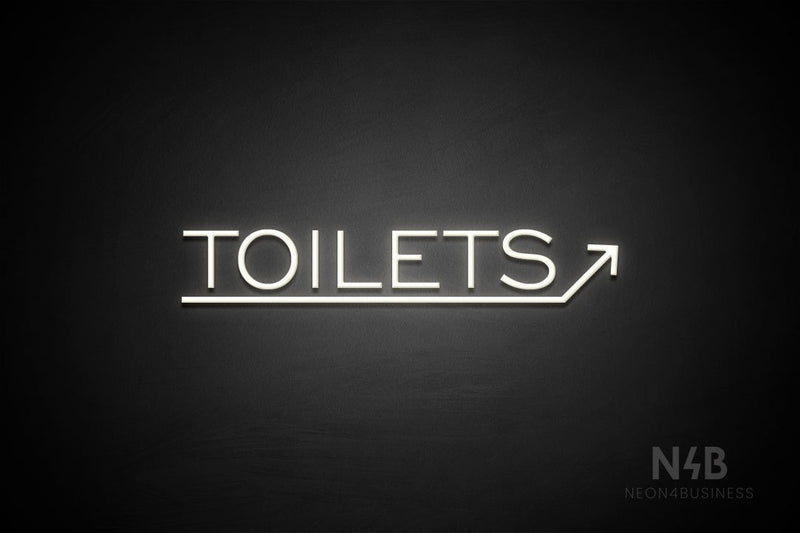 "TOILETS" (capitals, right up arrow, One Day font) - LED neon sign