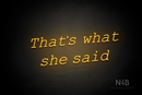 "That's what she said" (Typing Regular font) - LED neon sign