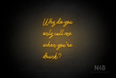 "Why do you only call me when youre drunk?" (Good Place font) - LED neon sign