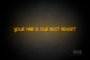 "YOUR HAIR IS OUR BEST ADVERT" (High Hopes font) - LED neon sign