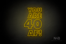 "YOU ARE 40 AF!" (Fairytale font) - LED neon sign