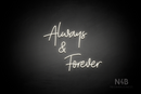 "Always & Forever" (Amino-Soulmates font) - LED neon sign