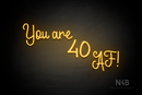 "You are 40 AF!" (LoverFun font) - LED neon sign